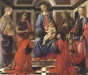 Sandro Botticelli Madonna enthroned with Child and Saints (Mary Magdalene,John the Baptist,Cosmas and Damien,Sts Francis and Catherine of Alexandria) painting